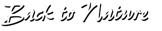Back-to-Nature-Logo